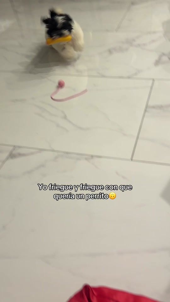 TikTok video thumbnail by julianaguzzz