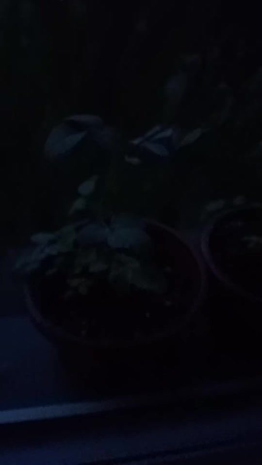 TikTok video thumbnail by mahdiya1990