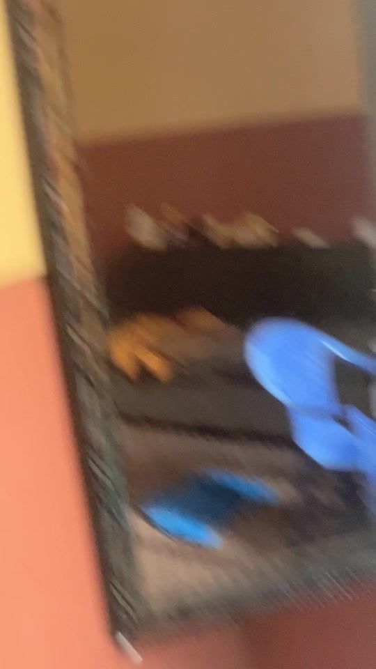TikTok video thumbnail by user.beelarl