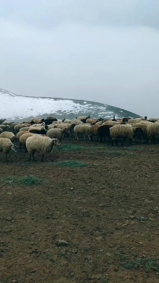 TikTok video thumbnail by senan_0065