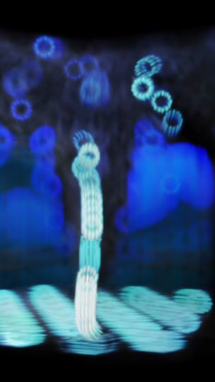 TikTok video thumbnail by hna_ta.7