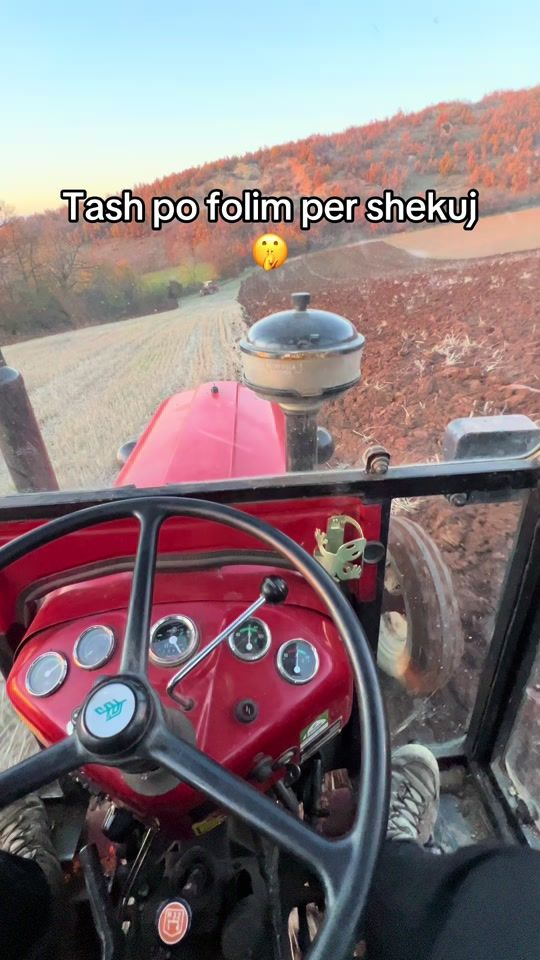 TikTok video thumbnail by mendy.farm