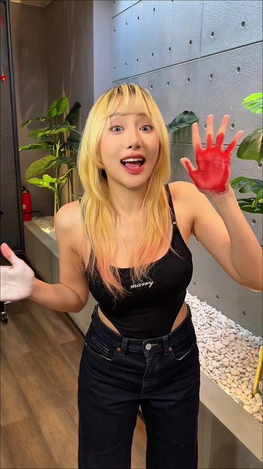 TikTok video thumbnail by janineintansari