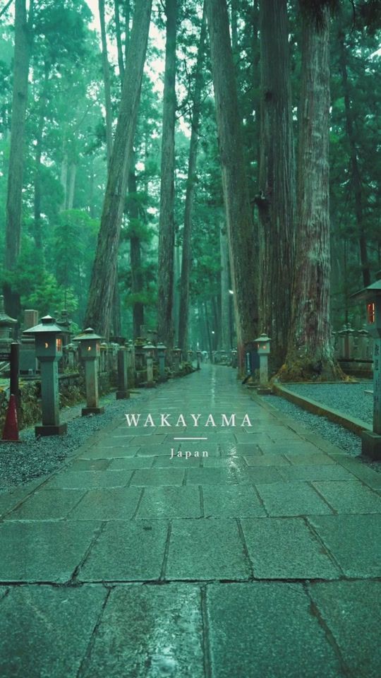 TikTok video thumbnail by takashi.film