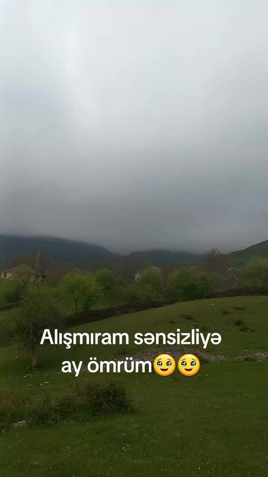 TikTok video thumbnail by __tek__tenha