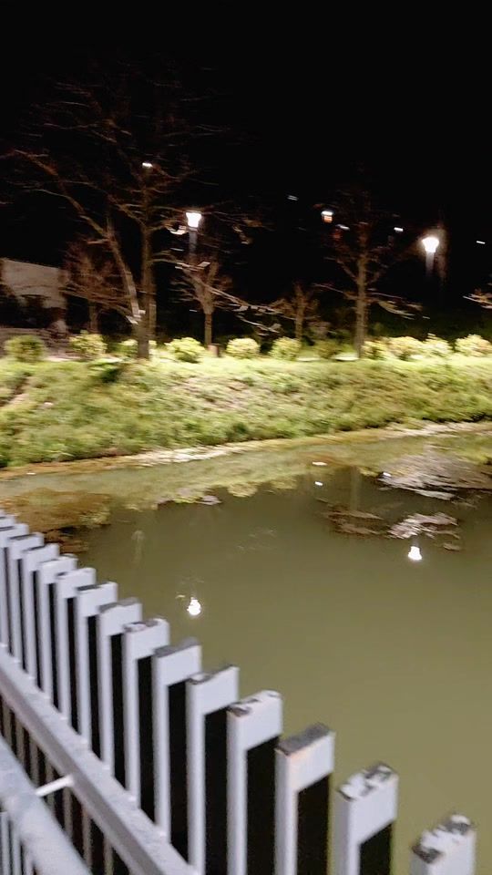 TikTok video thumbnail by user324578581631