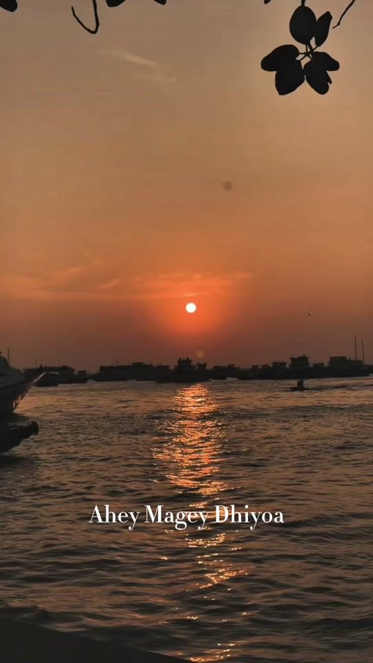 TikTok video thumbnail by dhaadhmv