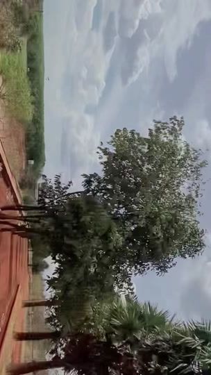 TikTok video thumbnail by oun.sey.single2