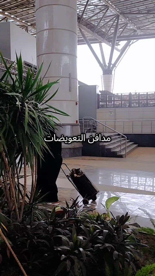 TikTok video thumbnail by aisel36