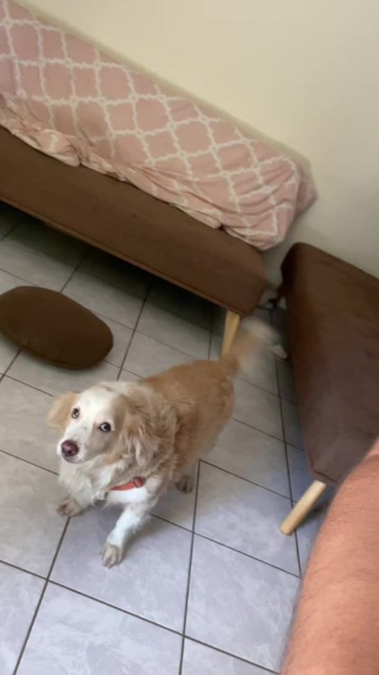 TikTok video thumbnail by rosme.e
