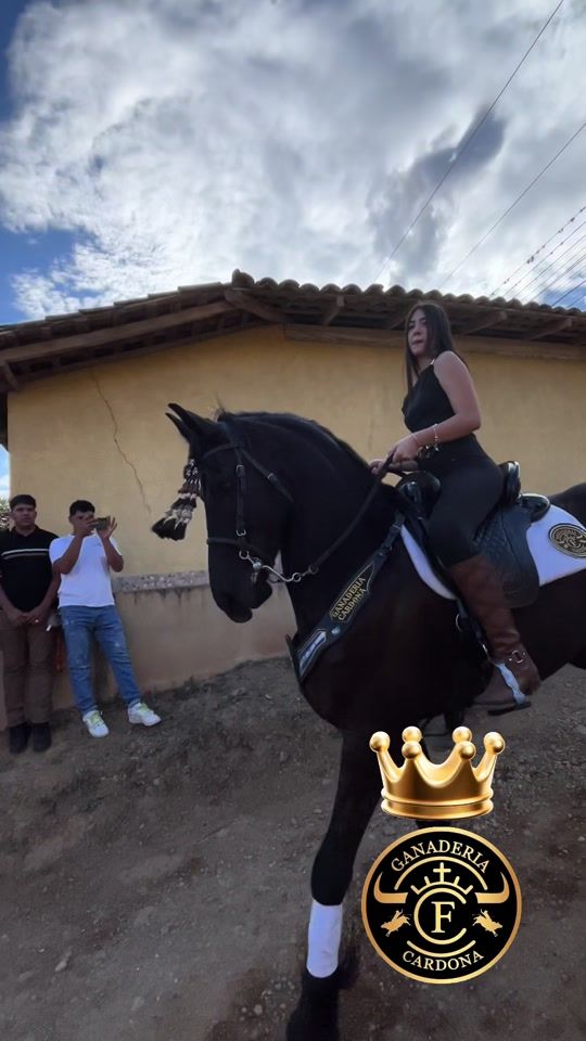 TikTok video thumbnail by fernando16cardona