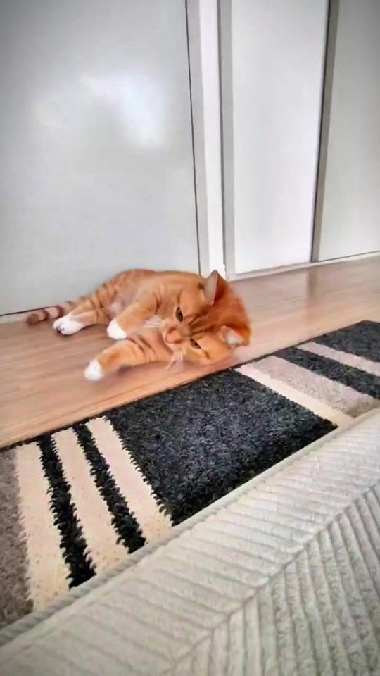 TikTok video thumbnail by gin.gira.ginta6