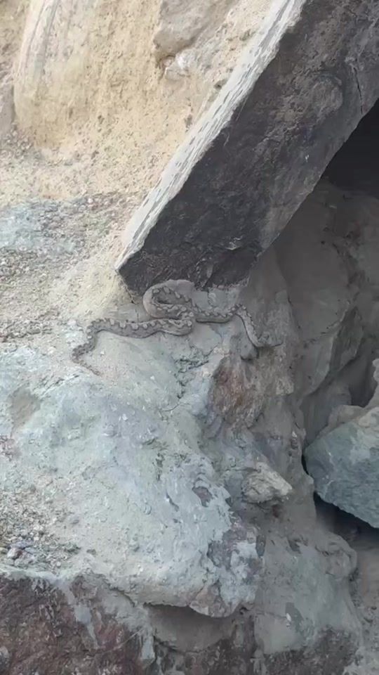 TikTok video thumbnail by bnr1202