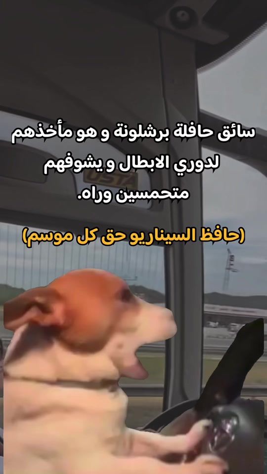 TikTok video thumbnail by ba7rawi.meems