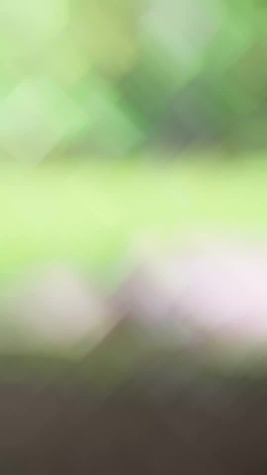 TikTok video thumbnail by liaausseyjermz