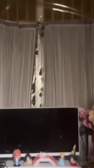 TikTok video thumbnail by novyvee