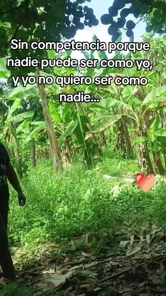 TikTok video thumbnail by palmar406