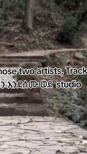 TikTok video thumbnail by jos_m_emes