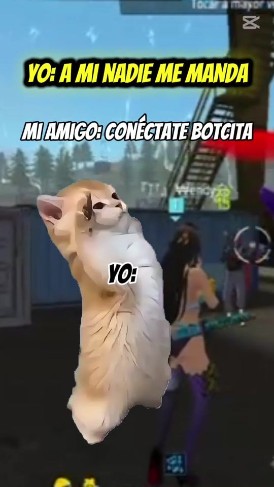 TikTok video thumbnail by wen_1999_