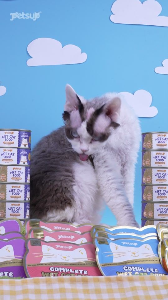 TikTok video thumbnail by petsup_ph