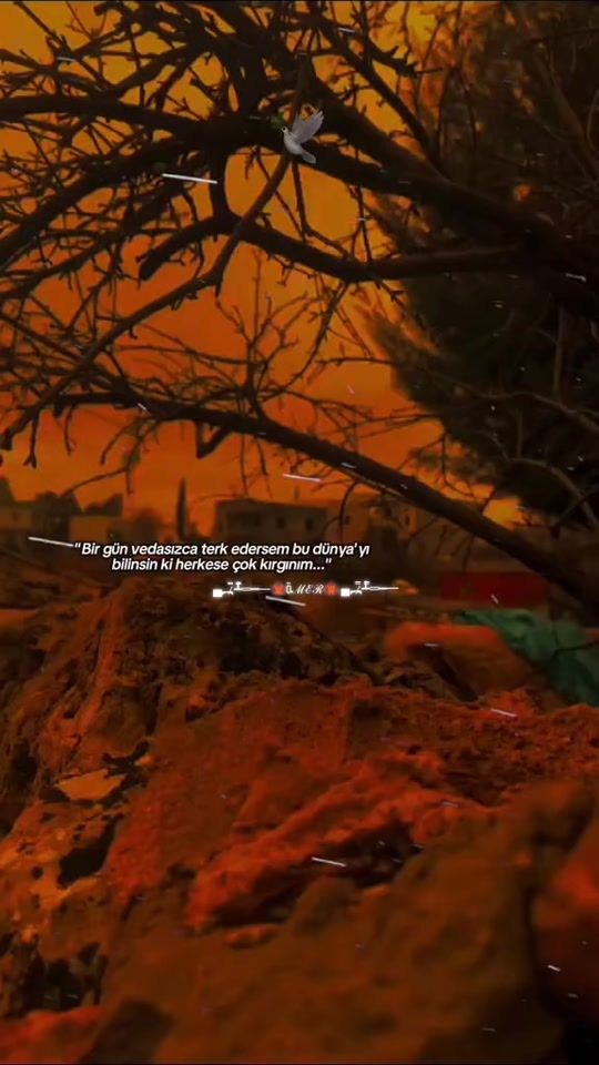 TikTok video thumbnail by omer.celik2763