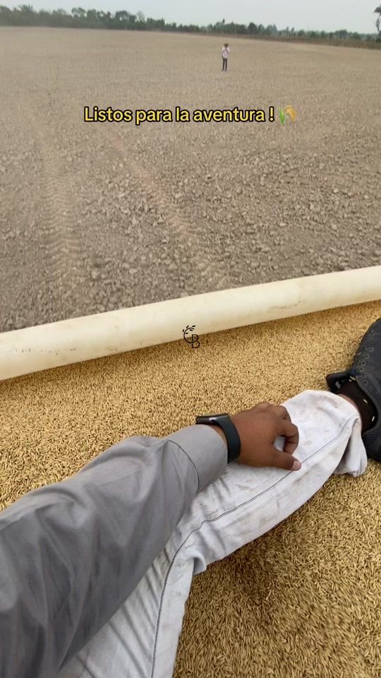 TikTok video thumbnail by crbarrera_