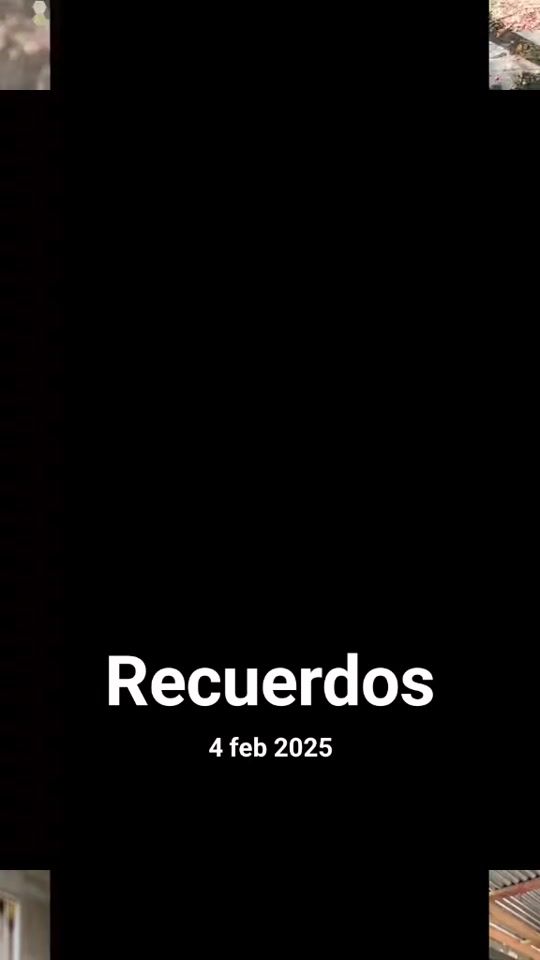 TikTok video thumbnail by meysigonzalez45