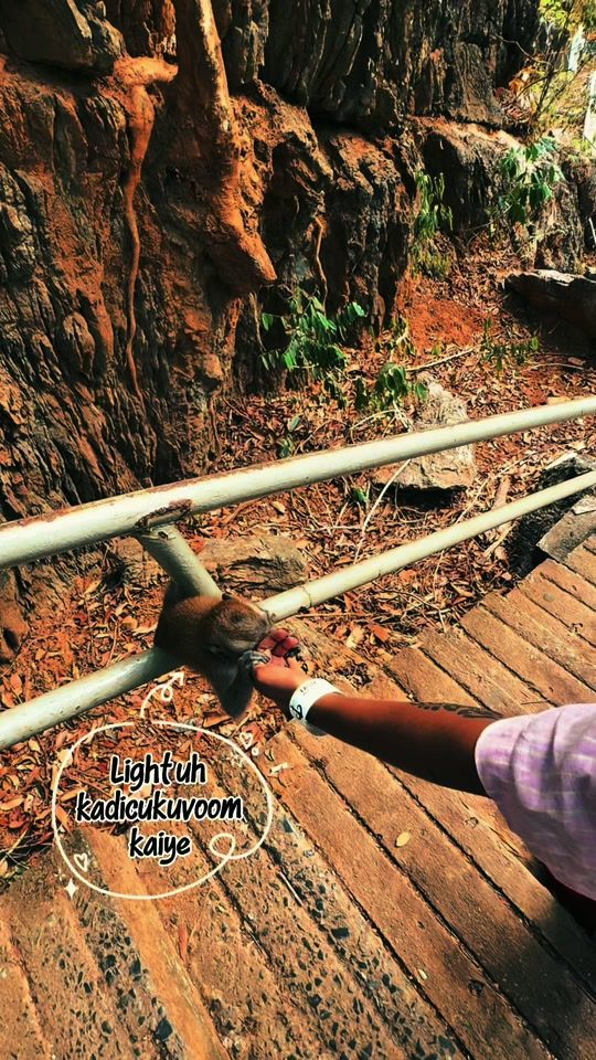 TikTok video thumbnail by mathyveerappan