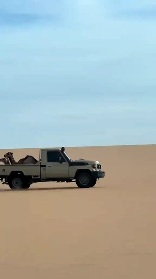 TikTok video thumbnail by omar.hamed522