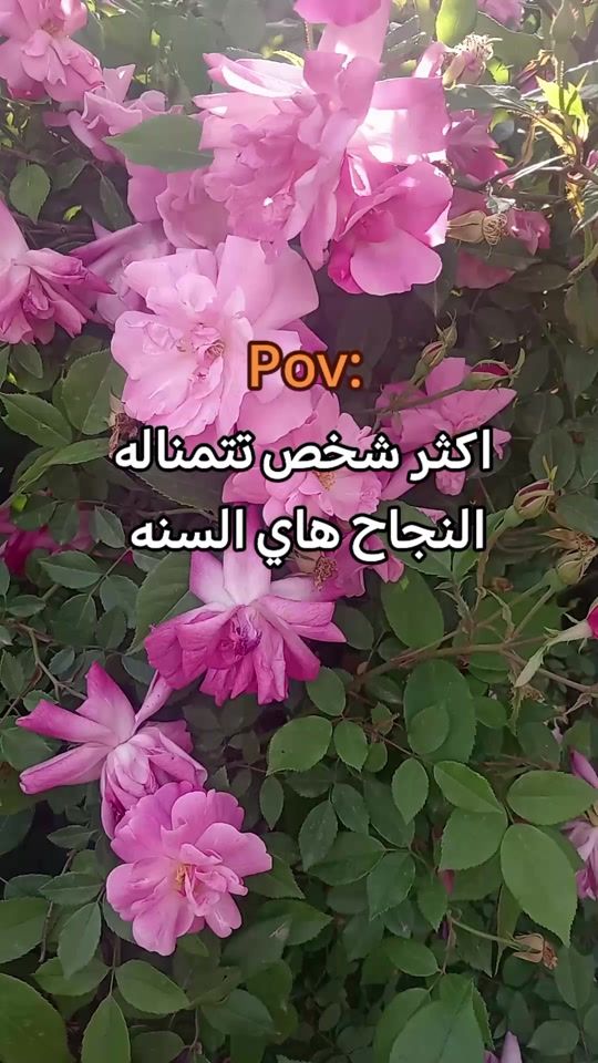 TikTok video thumbnail by mv___b67