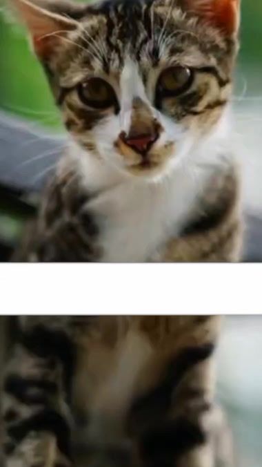 TikTok video thumbnail by taimoorbutt5121