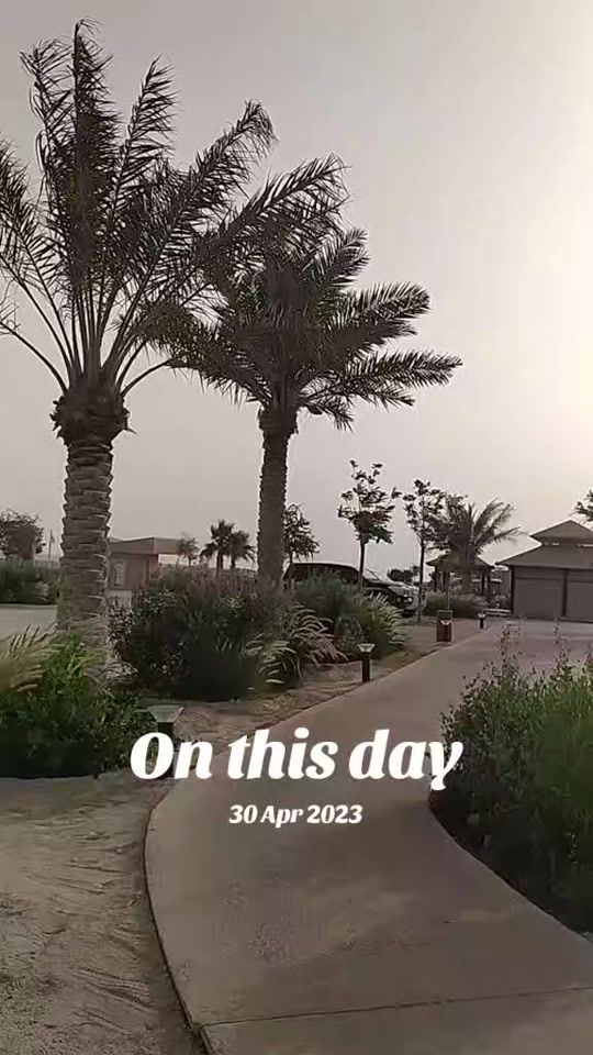 TikTok video thumbnail by daudibrahim110