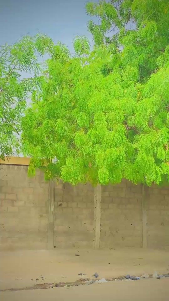 TikTok video thumbnail by baba.adam55