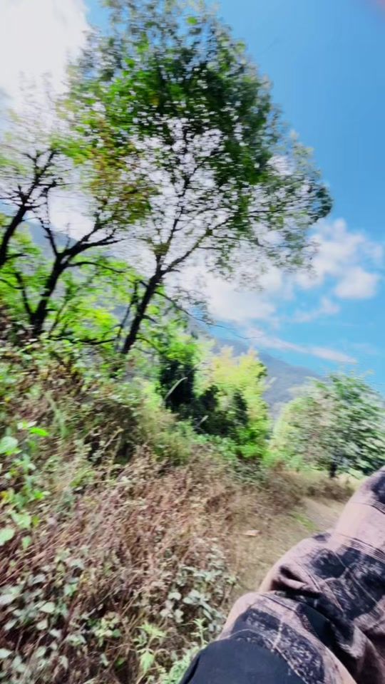 TikTok video thumbnail by todesh11