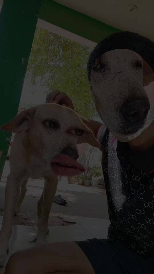 TikTok video thumbnail by urielito915