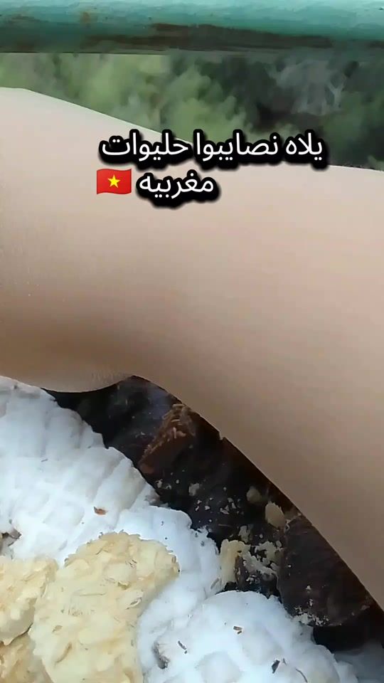 TikTok video thumbnail by omihsna
