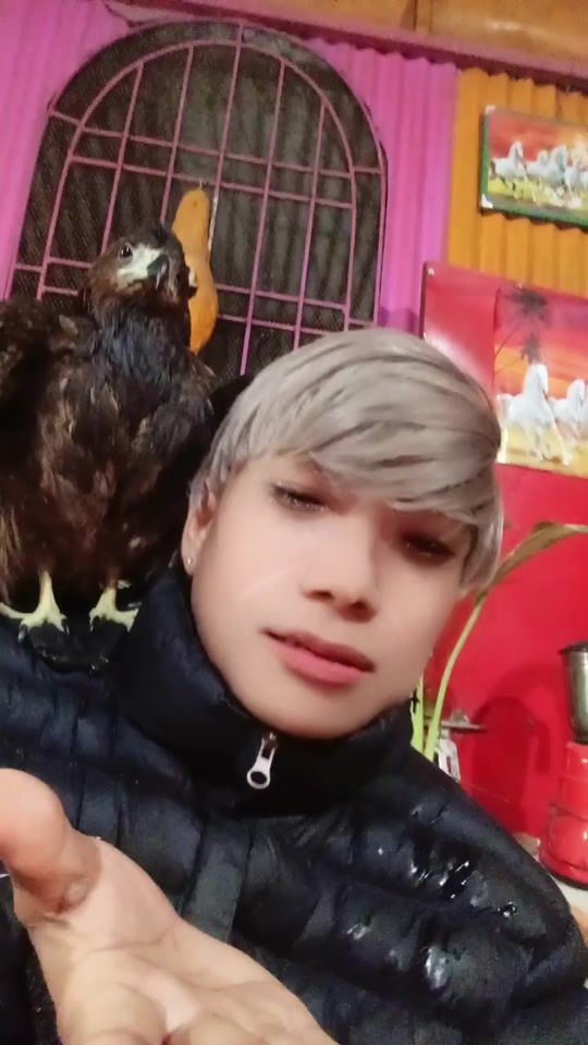 TikTok video thumbnail by prabinlimbu557