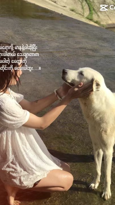 TikTok video thumbnail by thadarhlaing76