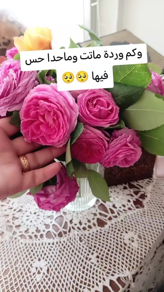 TikTok video thumbnail by rima.antalya