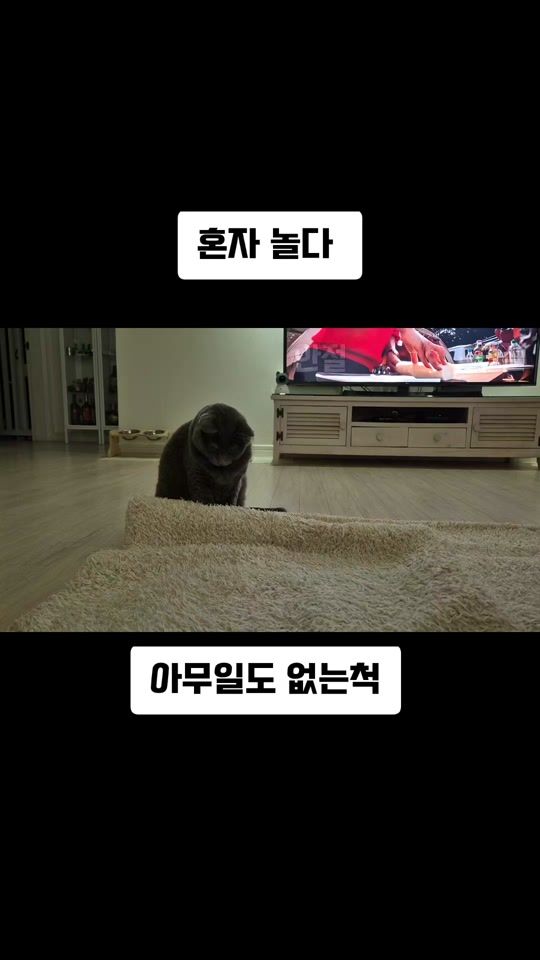 TikTok video thumbnail by oukdoll2