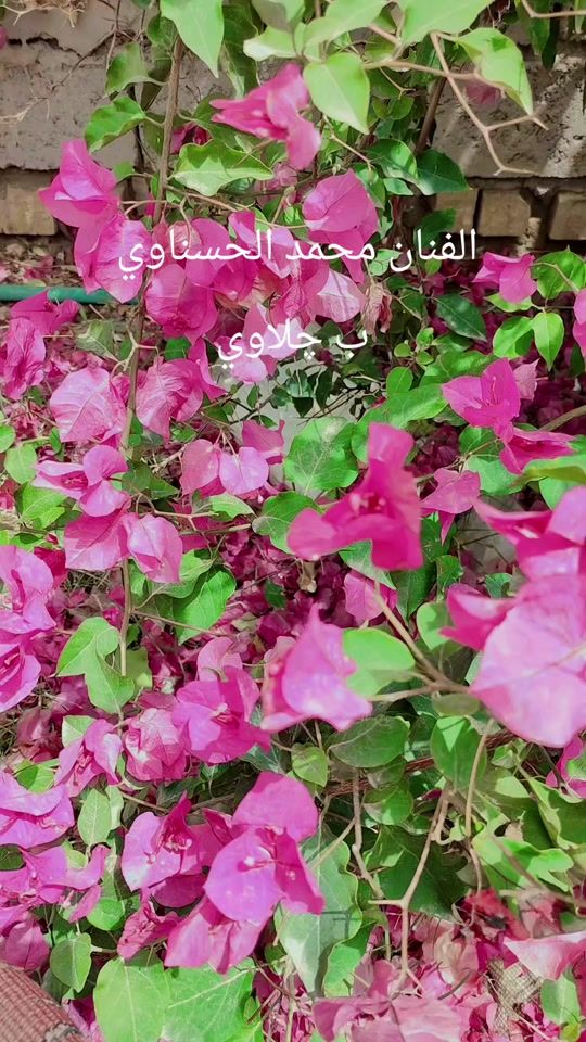 TikTok video thumbnail by rh_ss290