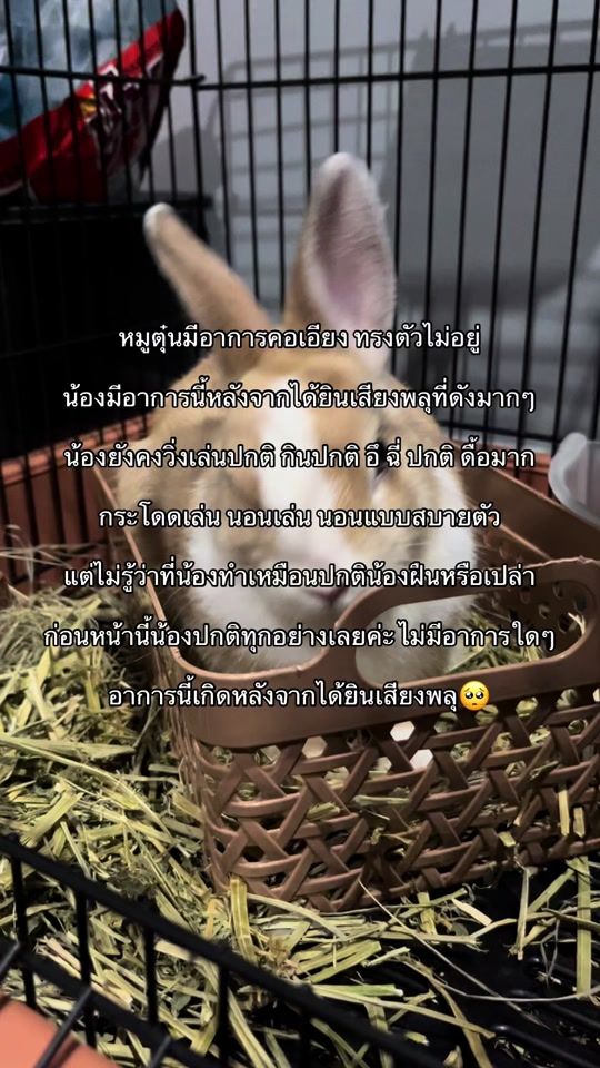 TikTok video thumbnail by namsomdg