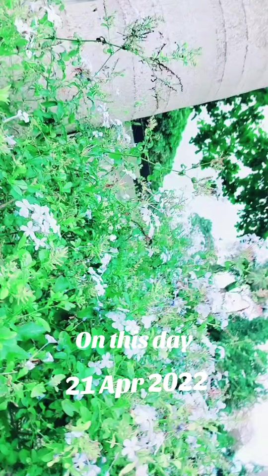 TikTok video thumbnail by sweety.20.07