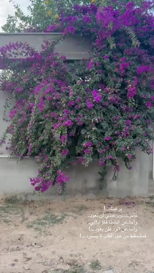 TikTok video thumbnail by eve990a