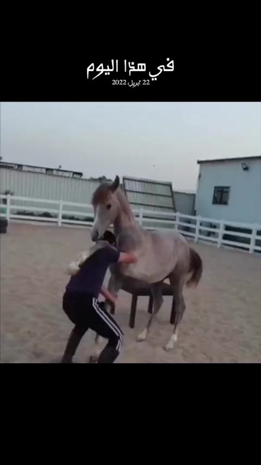 TikTok video thumbnail by ibrahimaaa_a