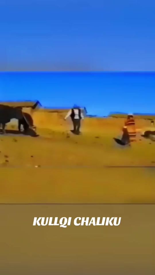 TikTok video thumbnail by userleonardd