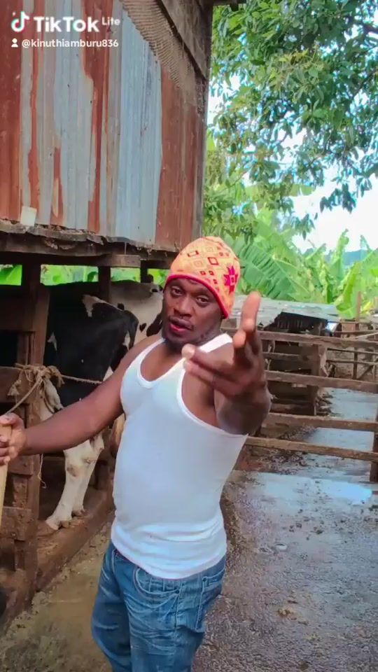 TikTok video thumbnail by user112141031433