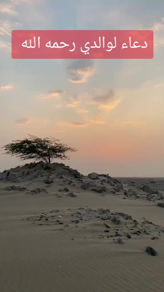 TikTok video thumbnail by abo_yousef18