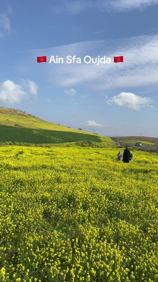 TikTok video thumbnail by moul_motor