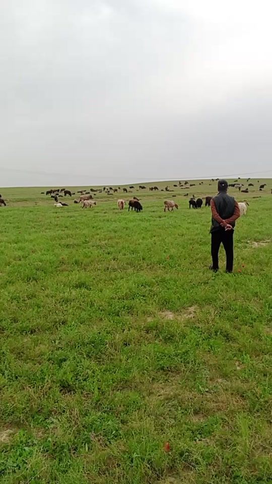 TikTok video thumbnail by dilshodbeb4464